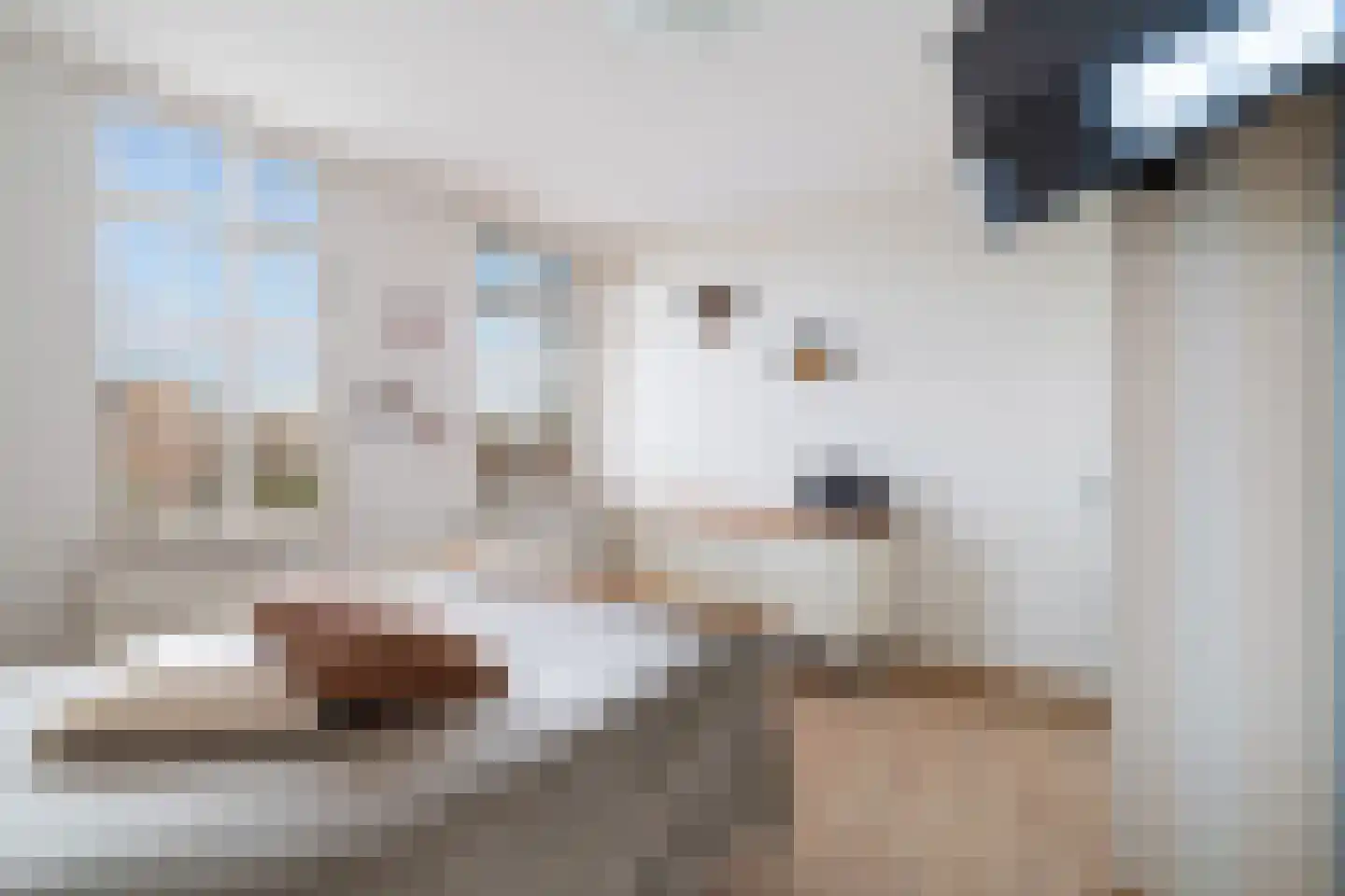 Gerrit van der Veenlaan 203 Den Haag thumbnail 19