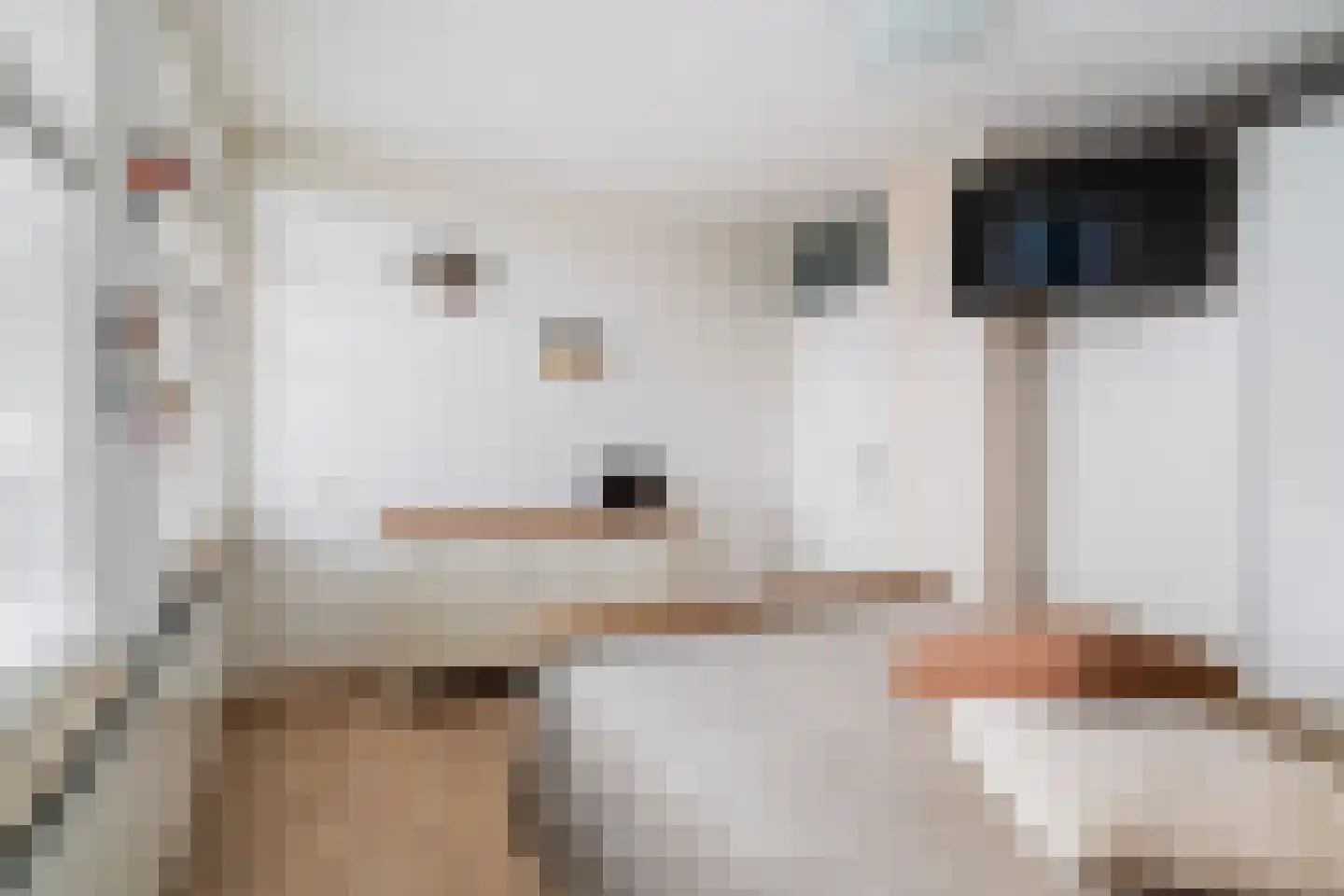Gerrit van der Veenlaan 203 Den Haag thumbnail 20