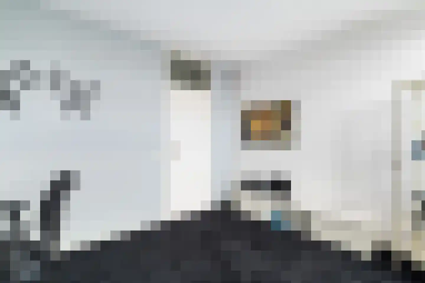 Gerrit van der Veenlaan 203 Den Haag thumbnail 23