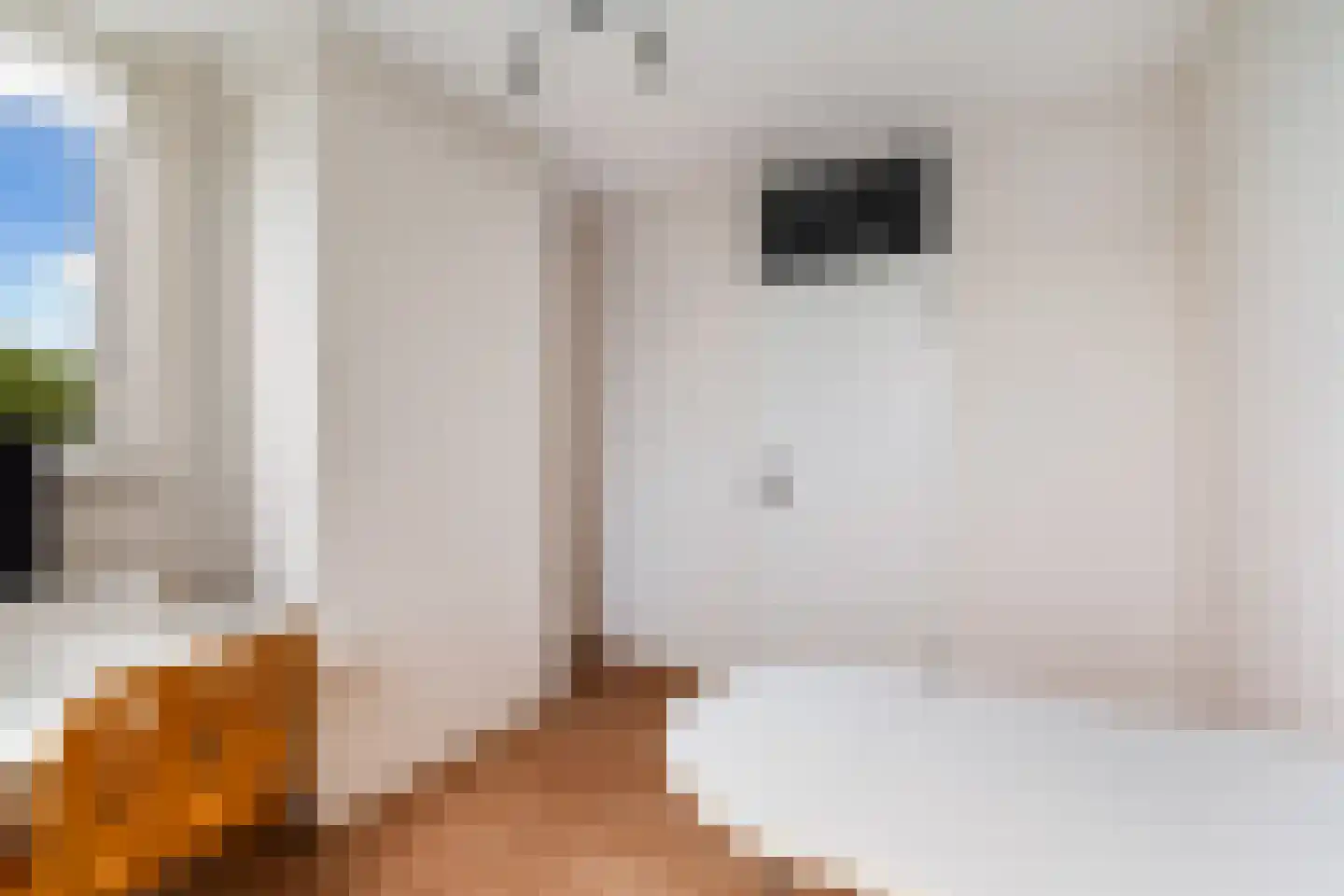 Gerrit van der Veenlaan 203 Den Haag thumbnail 34