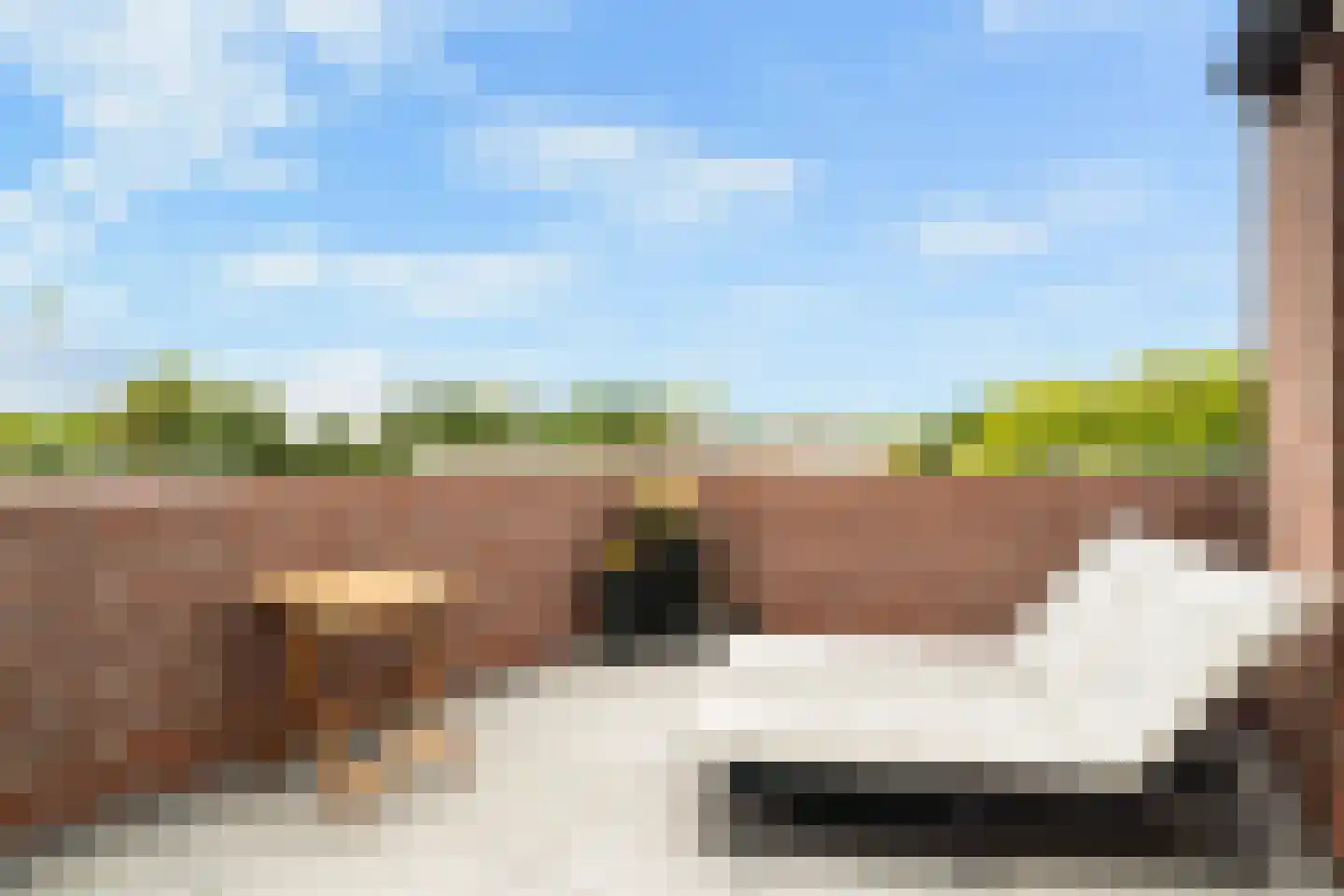 Gerrit van der Veenlaan 203 Den Haag thumbnail 37