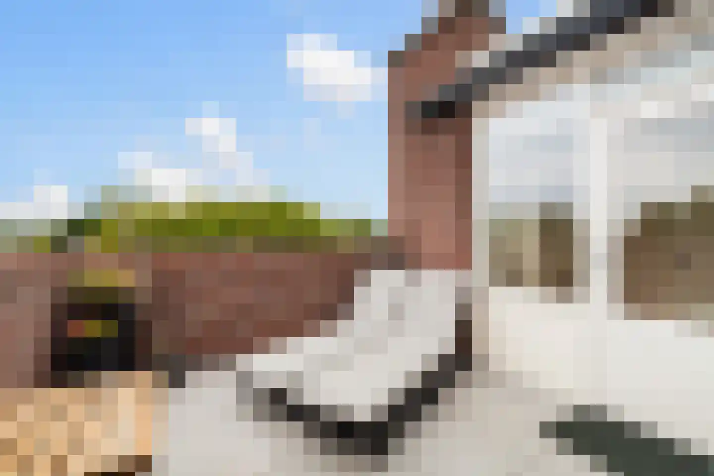 Gerrit van der Veenlaan 203 Den Haag thumbnail 4