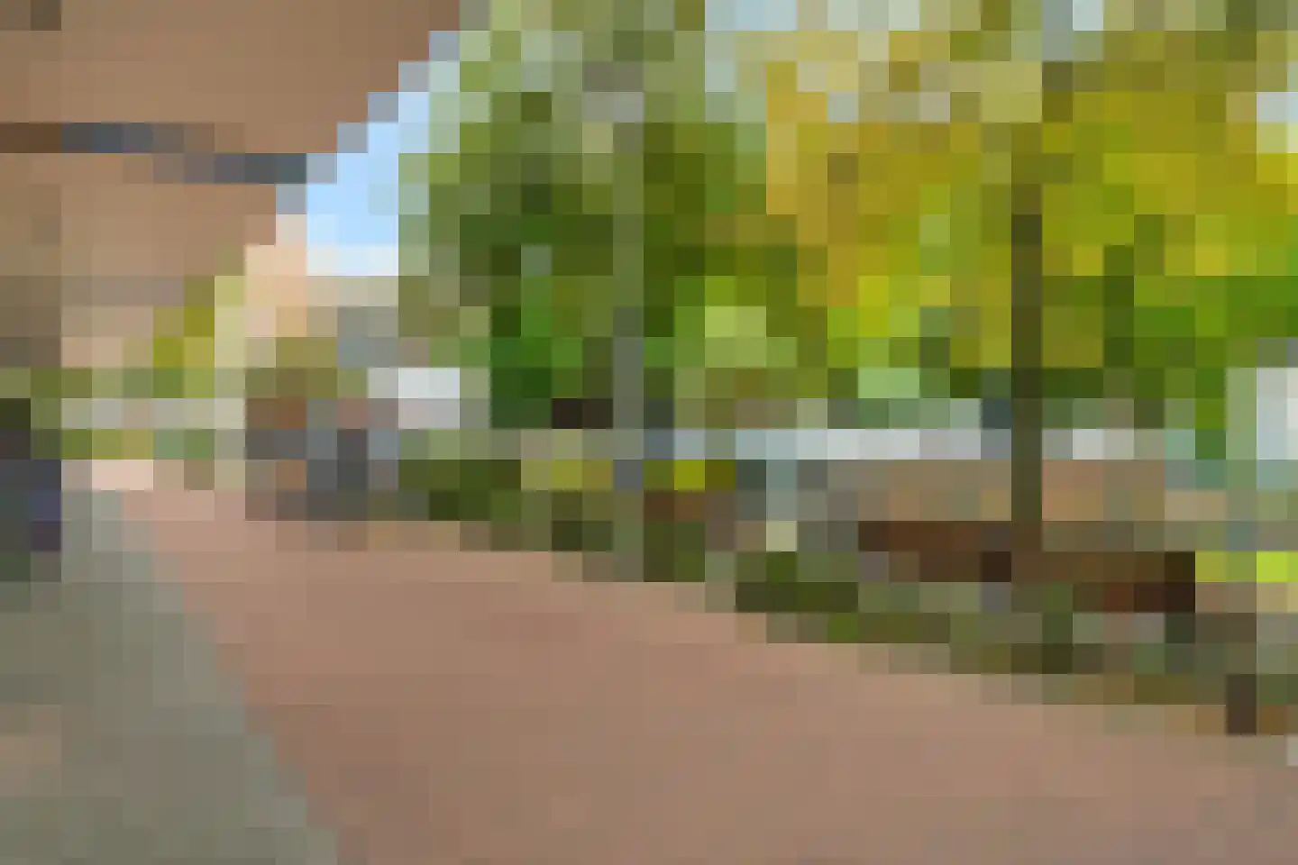 Gerrit van der Veenlaan 203 Den Haag thumbnail 40