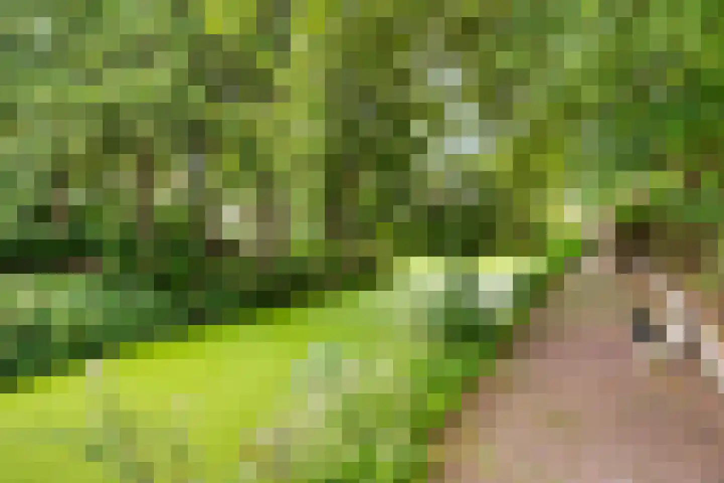 Gerrit van der Veenlaan 203 Den Haag thumbnail 41