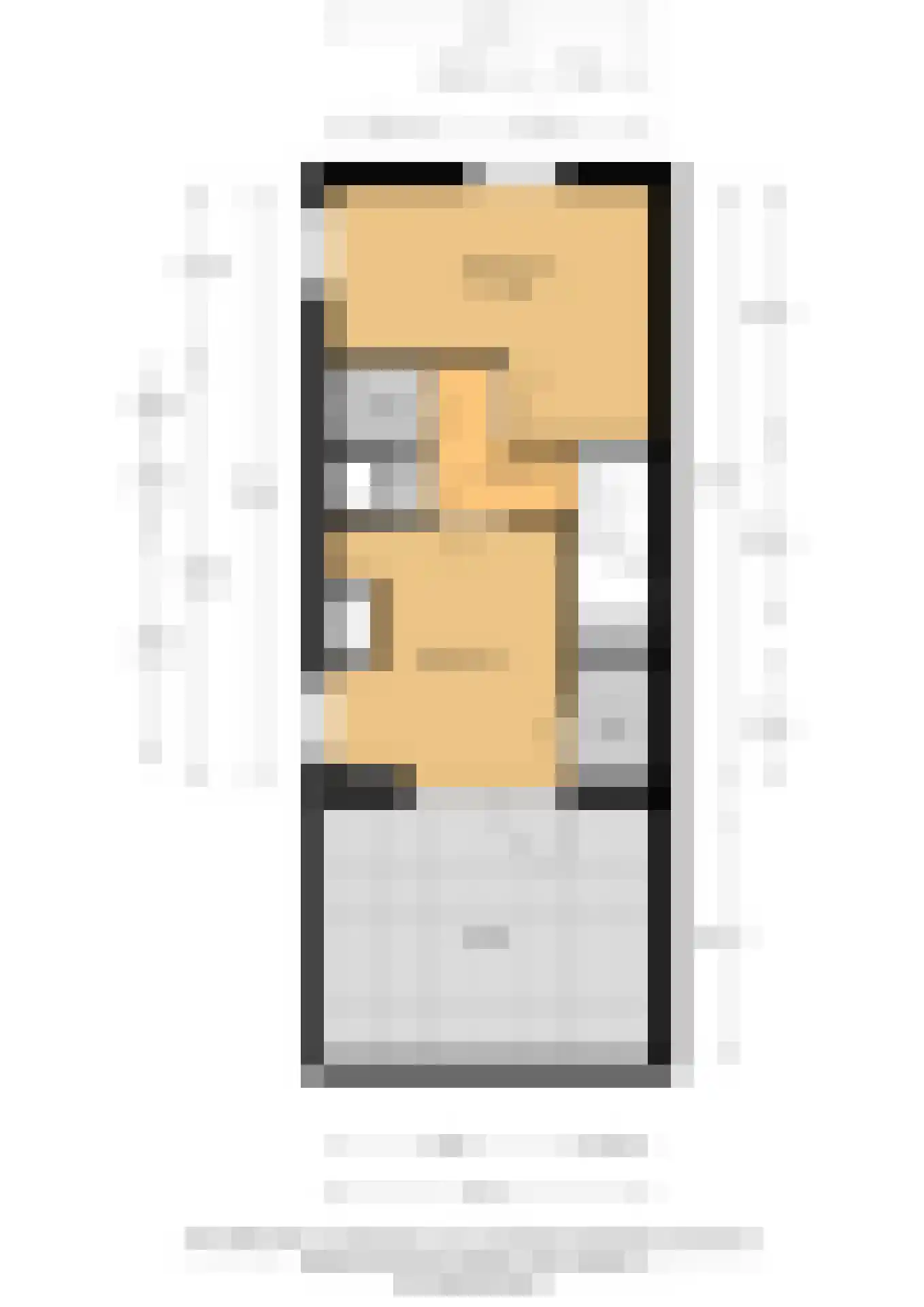 Gerrit van der Veenlaan 203 Den Haag thumbnail 44