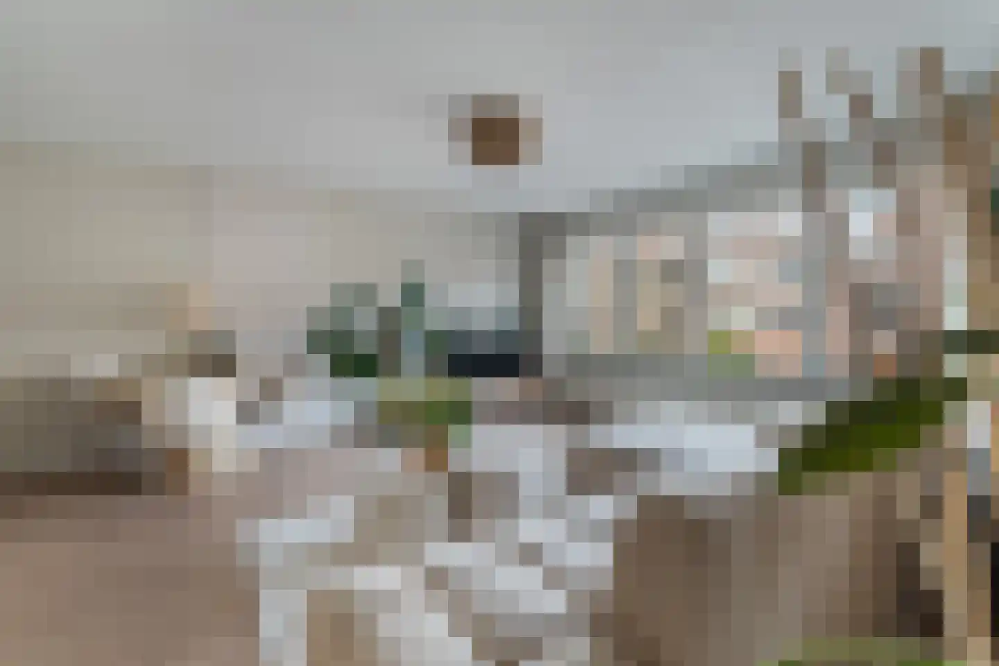 Gerrit van der Veenlaan 206 Den Haag thumbnail 13