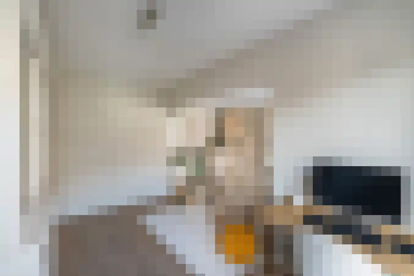 Gerrit van der Veenlaan 206 Den Haag thumbnail 19