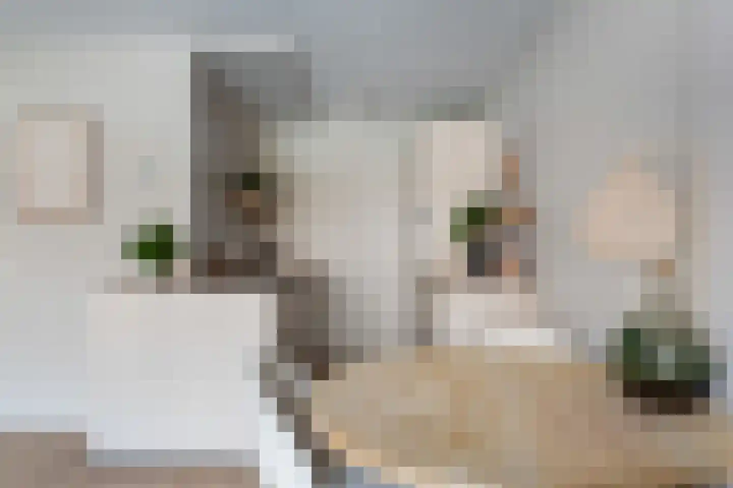 Gerrit van der Veenlaan 206 Den Haag thumbnail 21