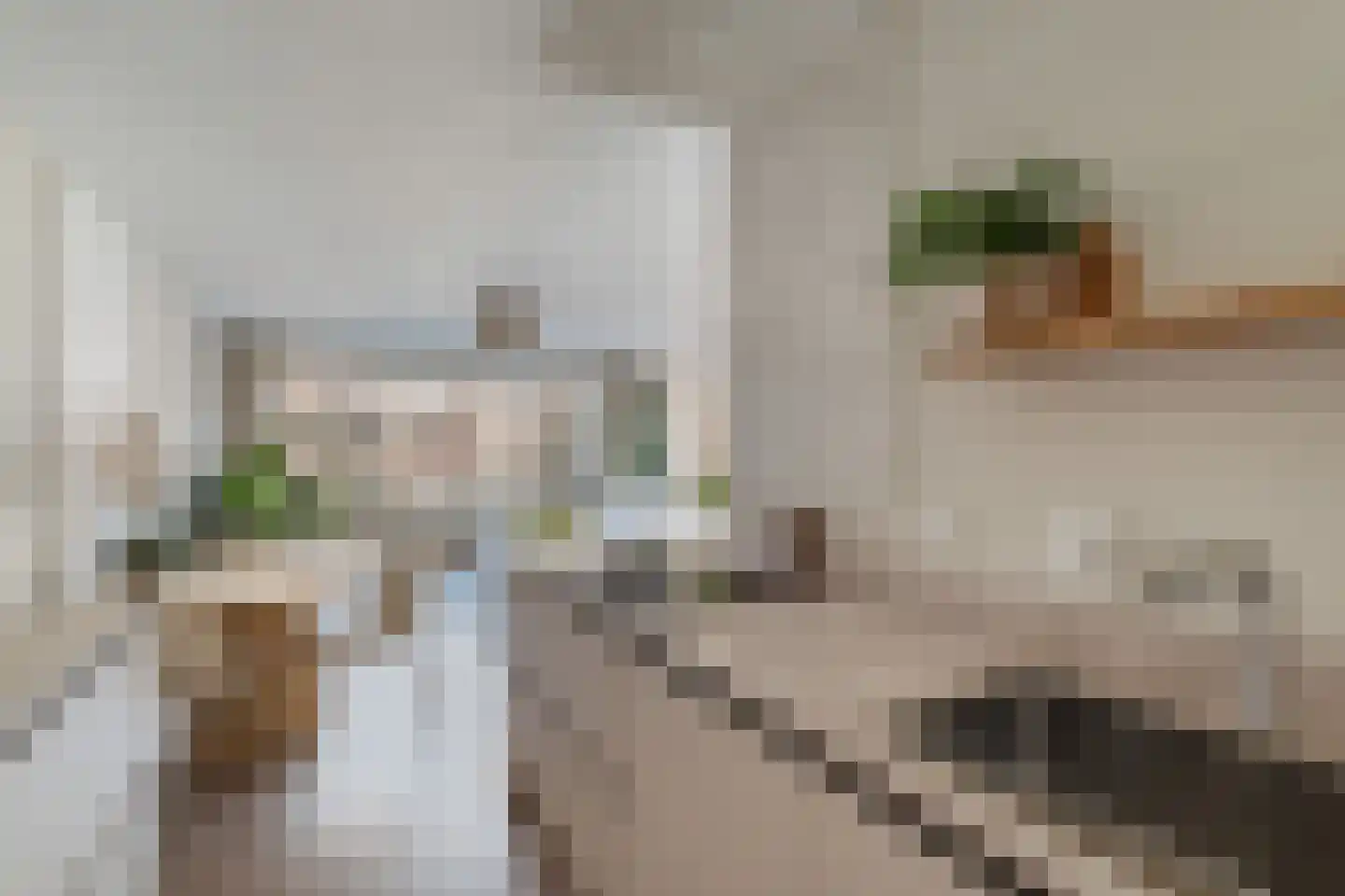 Gerrit van der Veenlaan 206 Den Haag thumbnail 24