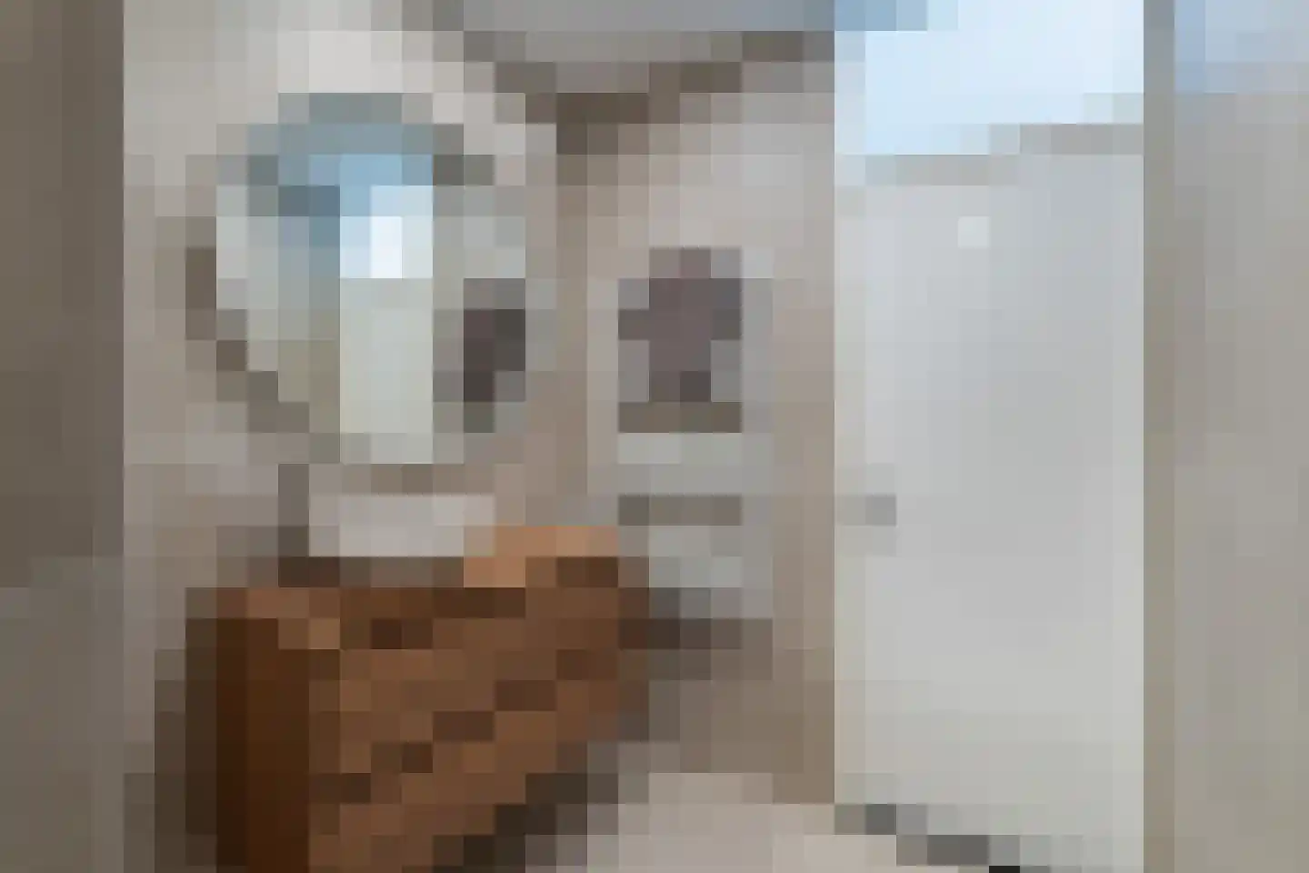 Gerrit van der Veenlaan 206 Den Haag thumbnail 28