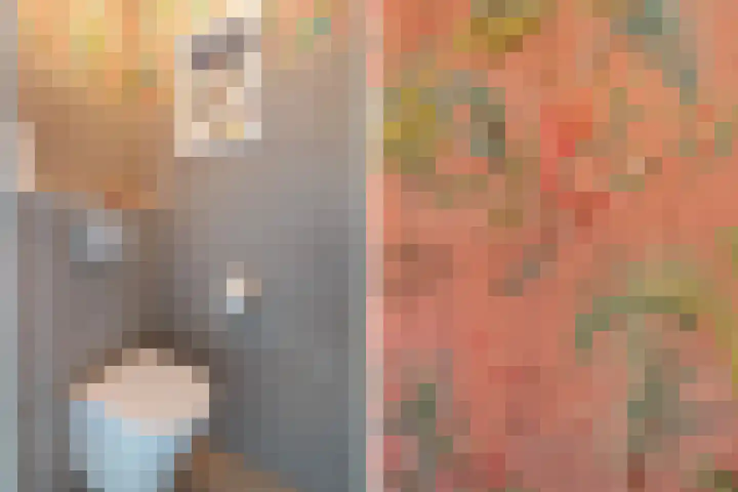 Gerrit van der Veenlaan 206 Den Haag thumbnail 7