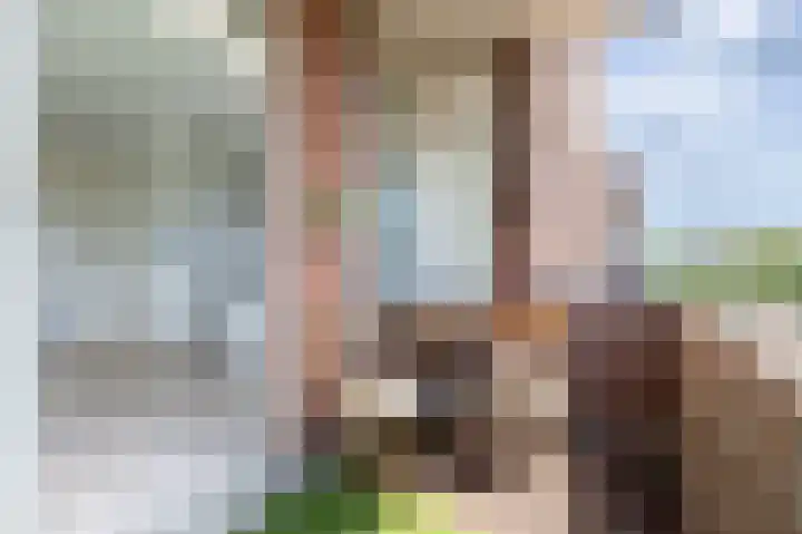 Gerrit van der Veenlaan 229 Den Haag thumbnail 13