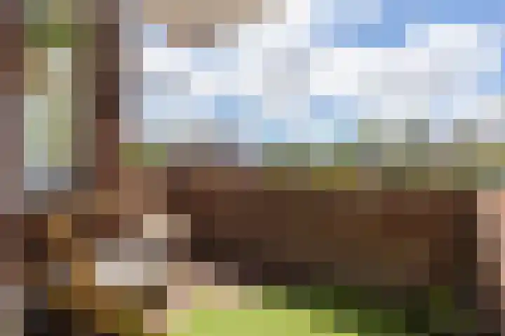 Gerrit van der Veenlaan 229 Den Haag thumbnail 14