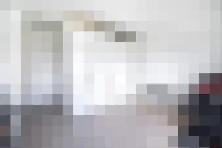 Gerrit van der Veenlaan 229 Den Haag thumbnail 20
