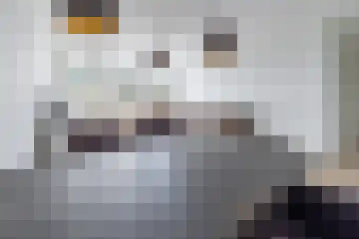 Gerrit van der Veenlaan 229 Den Haag thumbnail 7