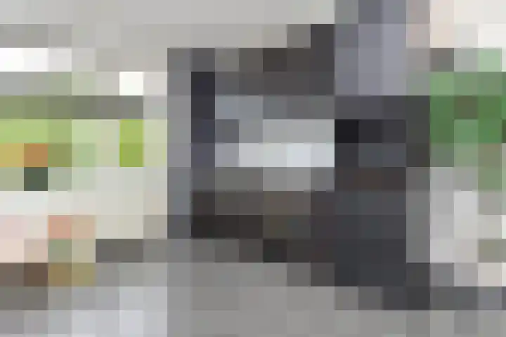 Gerrit van der Veenlaan 240 Den Haag thumbnail 10