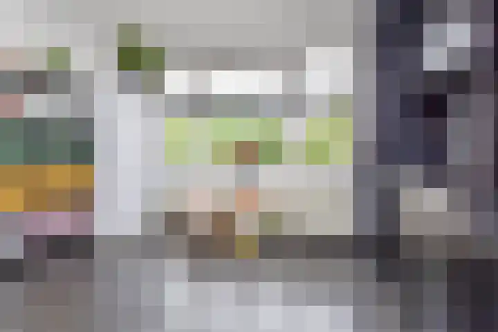 Gerrit van der Veenlaan 240 Den Haag thumbnail 11