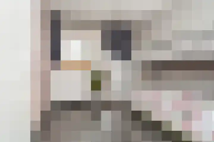 Gerrit van der Veenlaan 240 Den Haag thumbnail 19