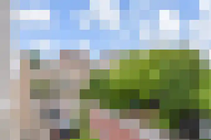 Gerrit van der Veenlaan 240 Den Haag thumbnail 30