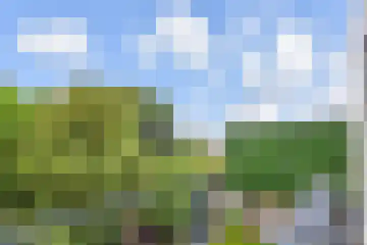 Gerrit van der Veenlaan 240 Den Haag thumbnail 31
