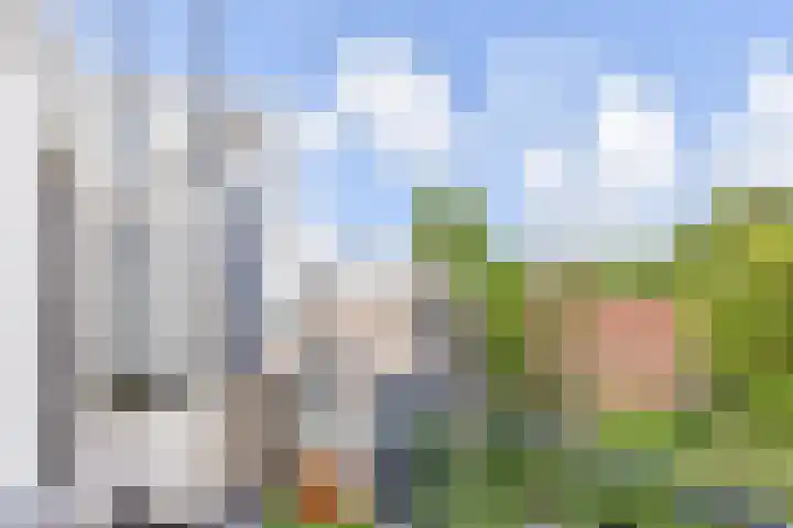 Gerrit van der Veenlaan 240 Den Haag thumbnail 32