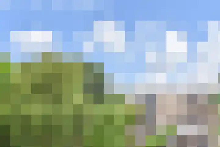 Gerrit van der Veenlaan 240 Den Haag thumbnail 34