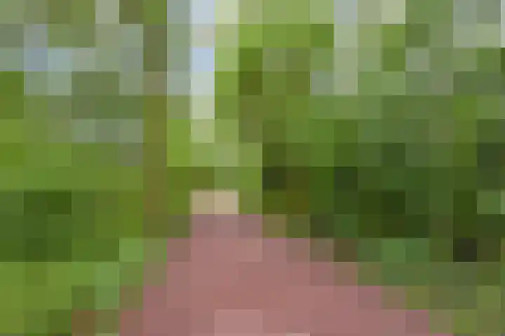 Gerrit van der Veenlaan 240 Den Haag thumbnail 35
