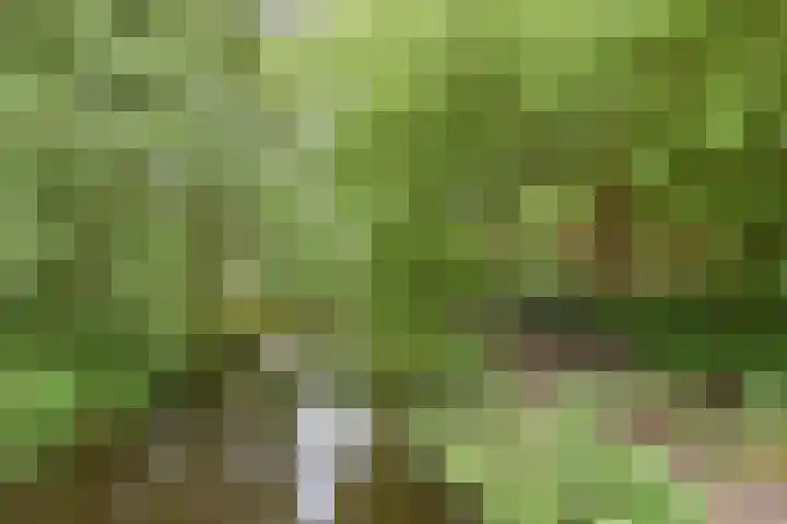 Gerrit van der Veenlaan 240 Den Haag thumbnail 36