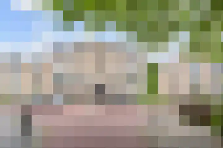 Gerrit van der Veenlaan 240 Den Haag thumbnail 39