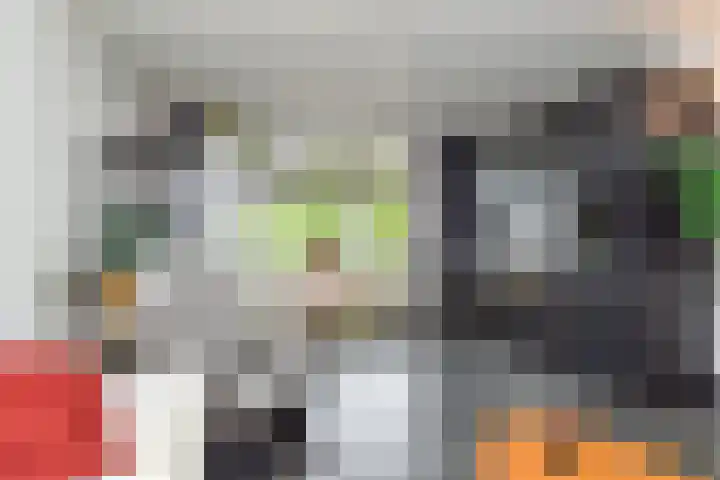 Gerrit van der Veenlaan 240 Den Haag thumbnail 42