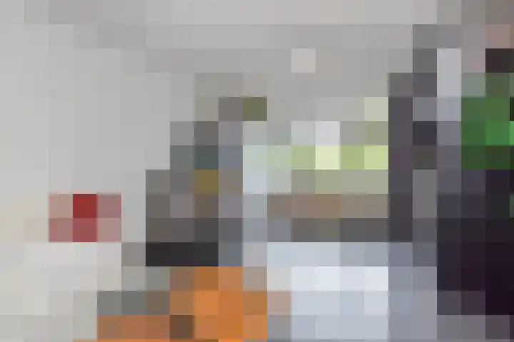 Gerrit van der Veenlaan 240 Den Haag thumbnail 7