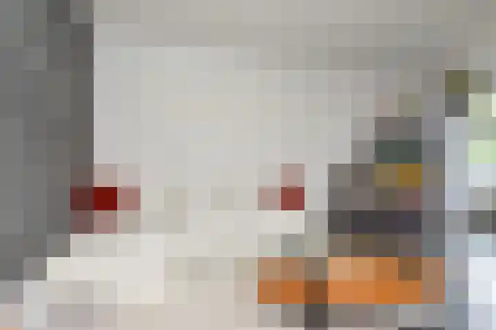 Gerrit van der Veenlaan 240 Den Haag thumbnail 8