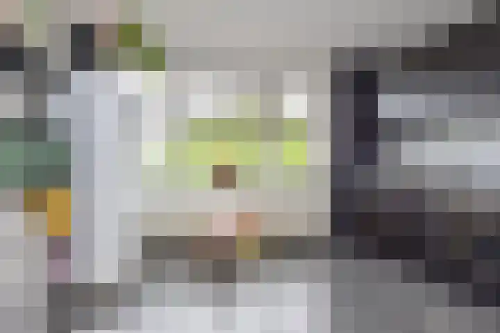 Gerrit van der Veenlaan 240 Den Haag thumbnail 9