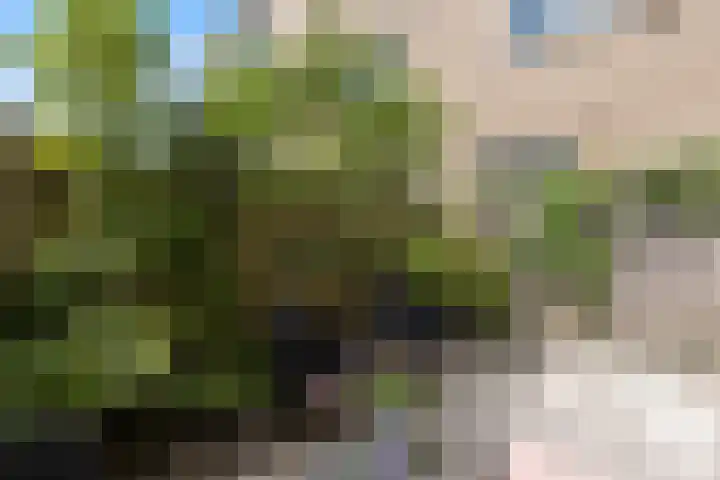 Gerrit van der Veenlaan 301 Den Haag thumbnail 20