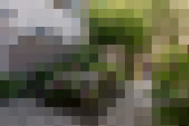 Gerrit van der Veenlaan 301 Den Haag thumbnail 21