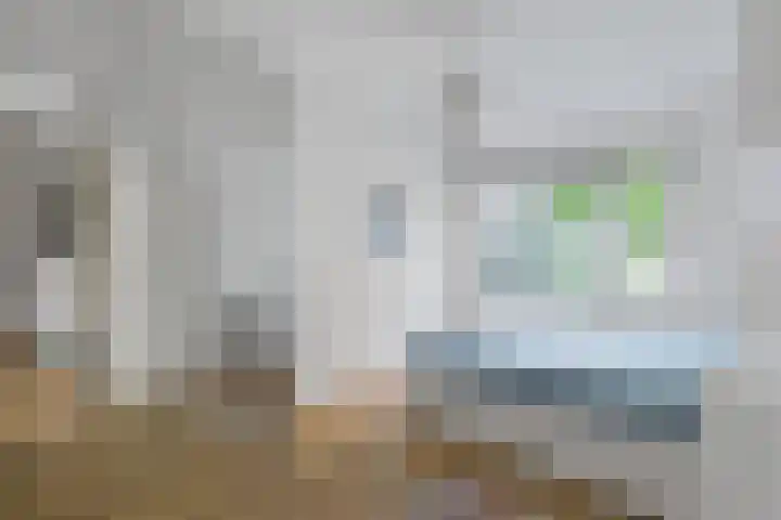 Gerrit van der Veenlaan 301 Den Haag thumbnail 23