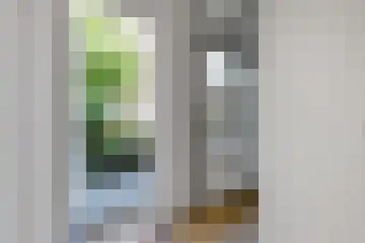 Gerrit van der Veenlaan 301 Den Haag thumbnail 29