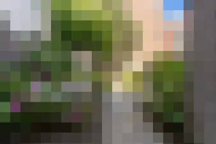 Gerrit van der Veenlaan 301 Den Haag thumbnail 30