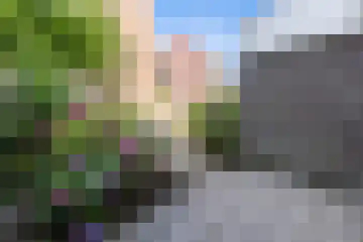 Gerrit van der Veenlaan 301 Den Haag thumbnail 32