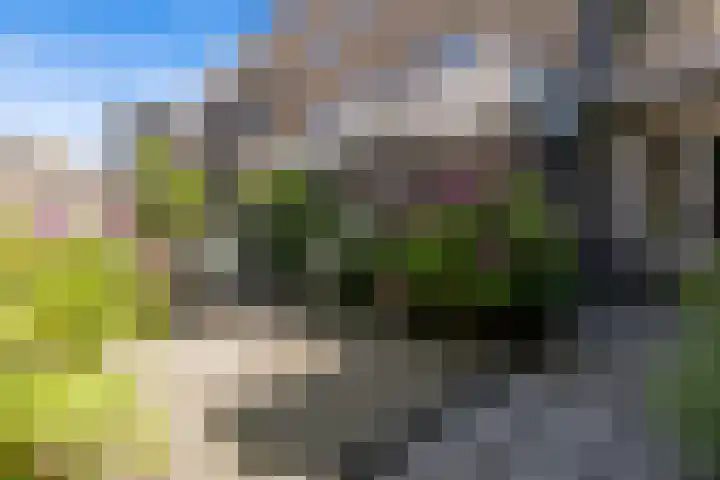Gerrit van der Veenlaan 301 Den Haag thumbnail 33