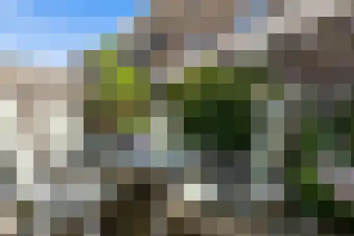 Gerrit van der Veenlaan 301 Den Haag thumbnail 34