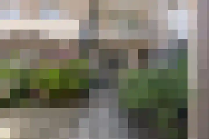 Gerrit van der Veenlaan 301 Den Haag thumbnail 35