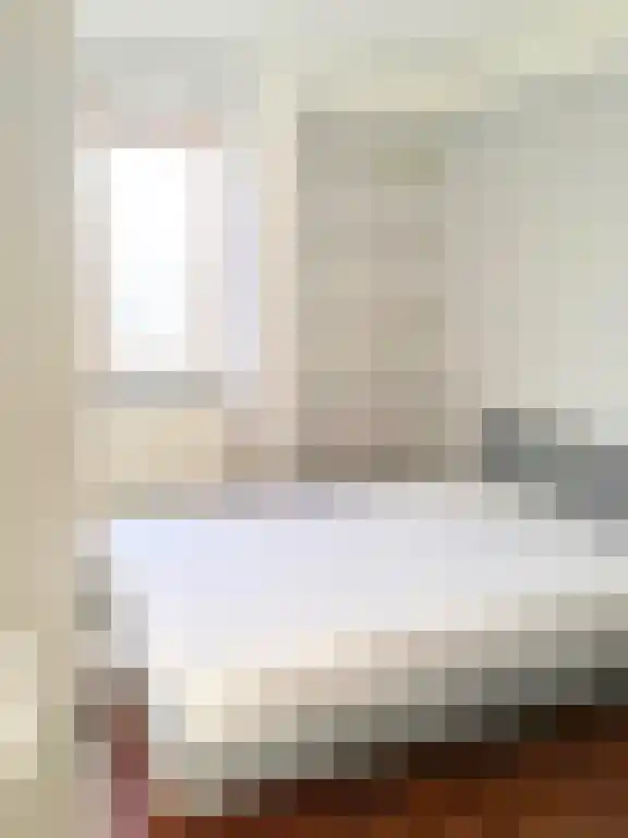 Gerrit van der Veenlaan Den Haag thumbnail 4