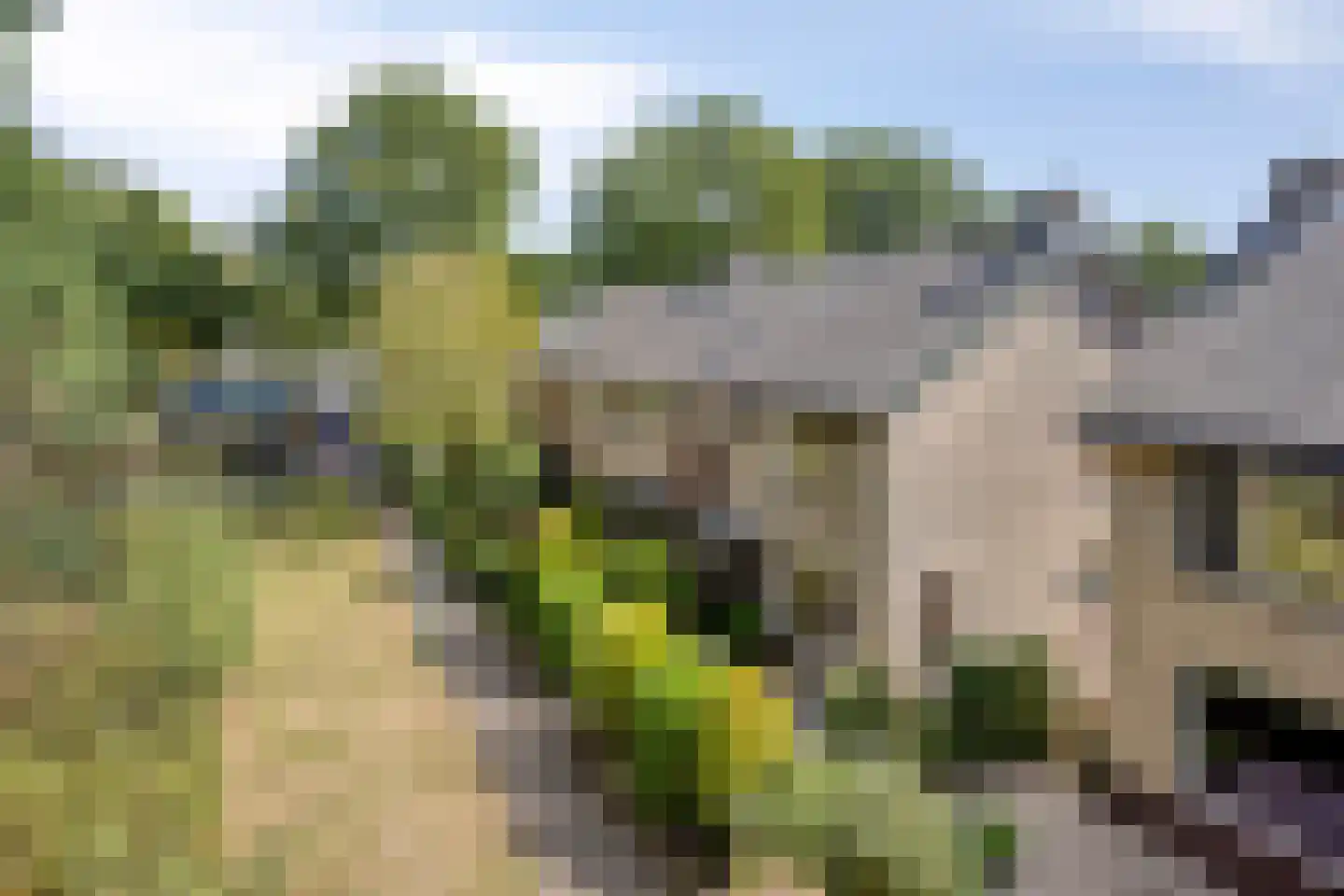 Gerrit van der Veenstraat 101 Soest thumbnail 39