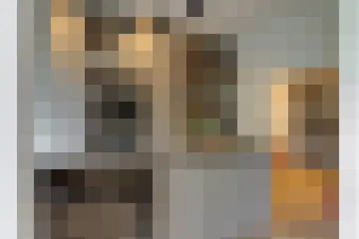Gerrit van der Veenstraat 108 H Amsterdam thumbnail 24
