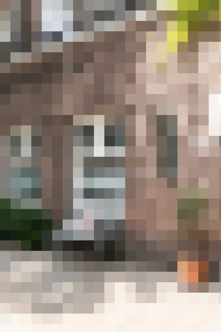 Gerrit van der Veenstraat 108 H Amsterdam thumbnail 60