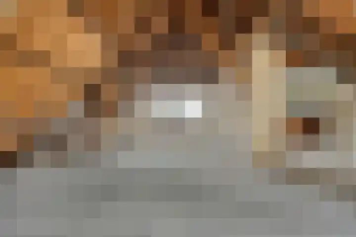 Gerrit van der Veenstraat 109 3 Amsterdam thumbnail 19