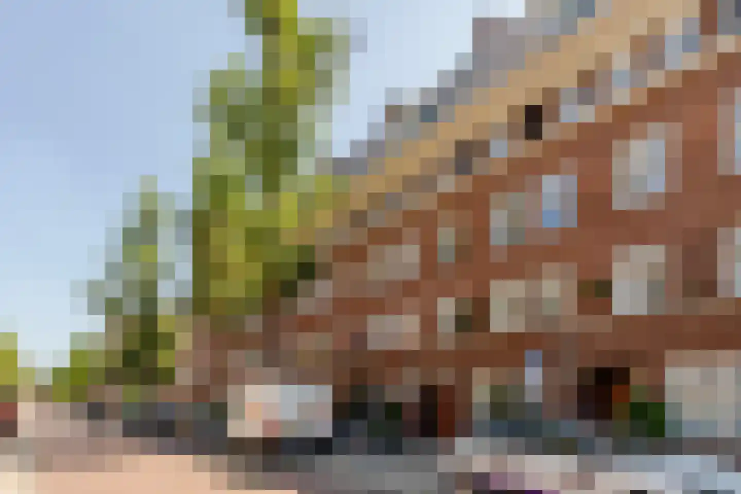 Gerrit van der Veenstraat 123 2 Amsterdam thumbnail 33