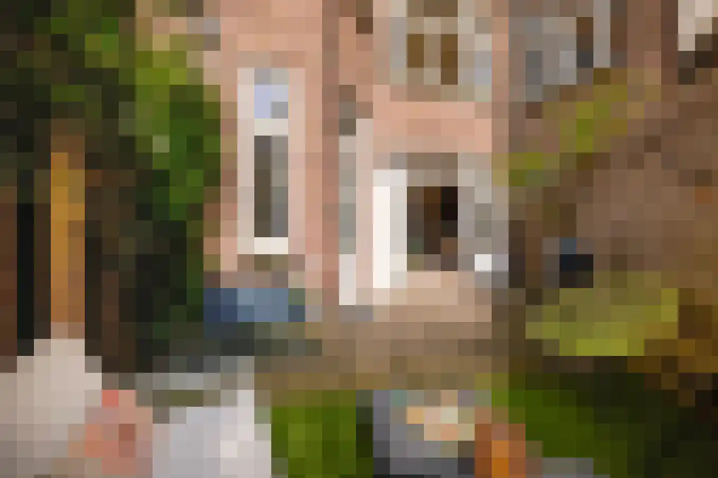 Gerrit van der Veenstraat 131 2 Amsterdam thumbnail 7