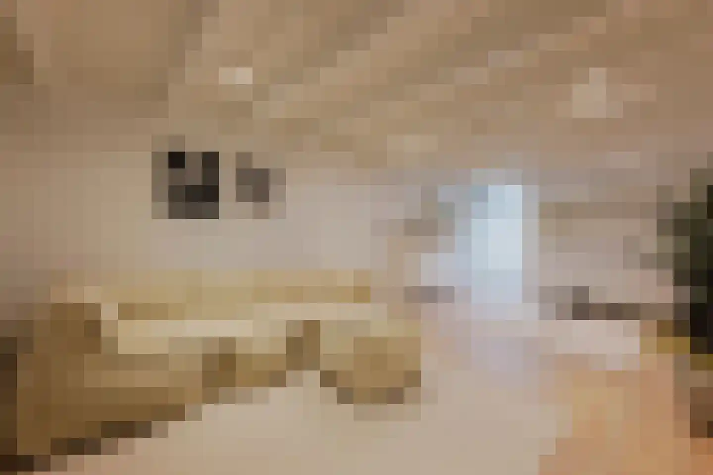 Gerrit van der Veenstraat 132 2 Amsterdam thumbnail 46